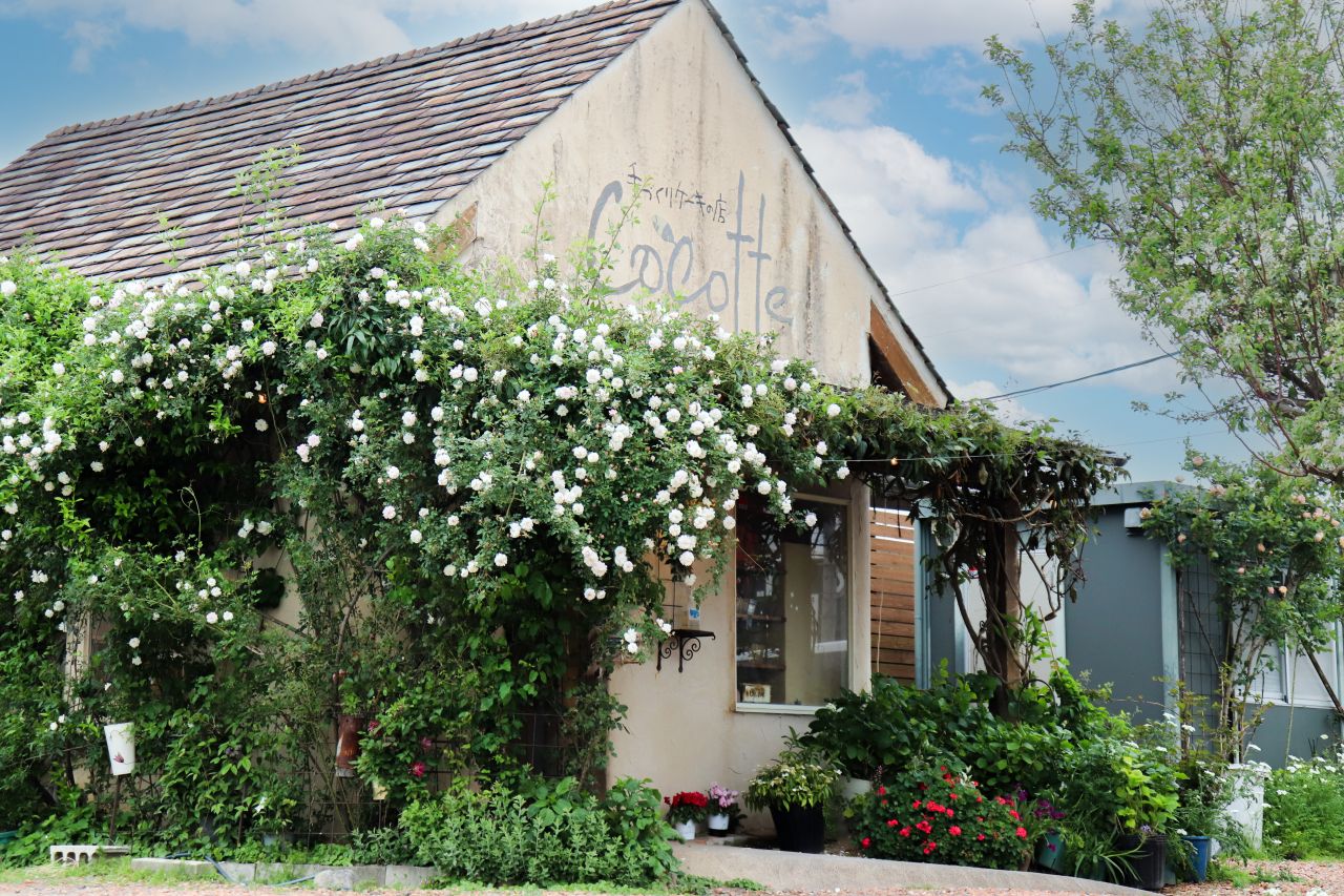 ココット外観a (1)